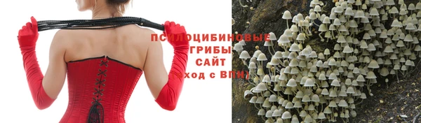 дживик Зеленодольск