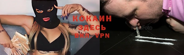 дживик Зеленодольск