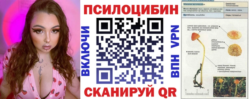 Купить  Чёрмоз  Галлюциногенные грибы Psilocybine cubensis 